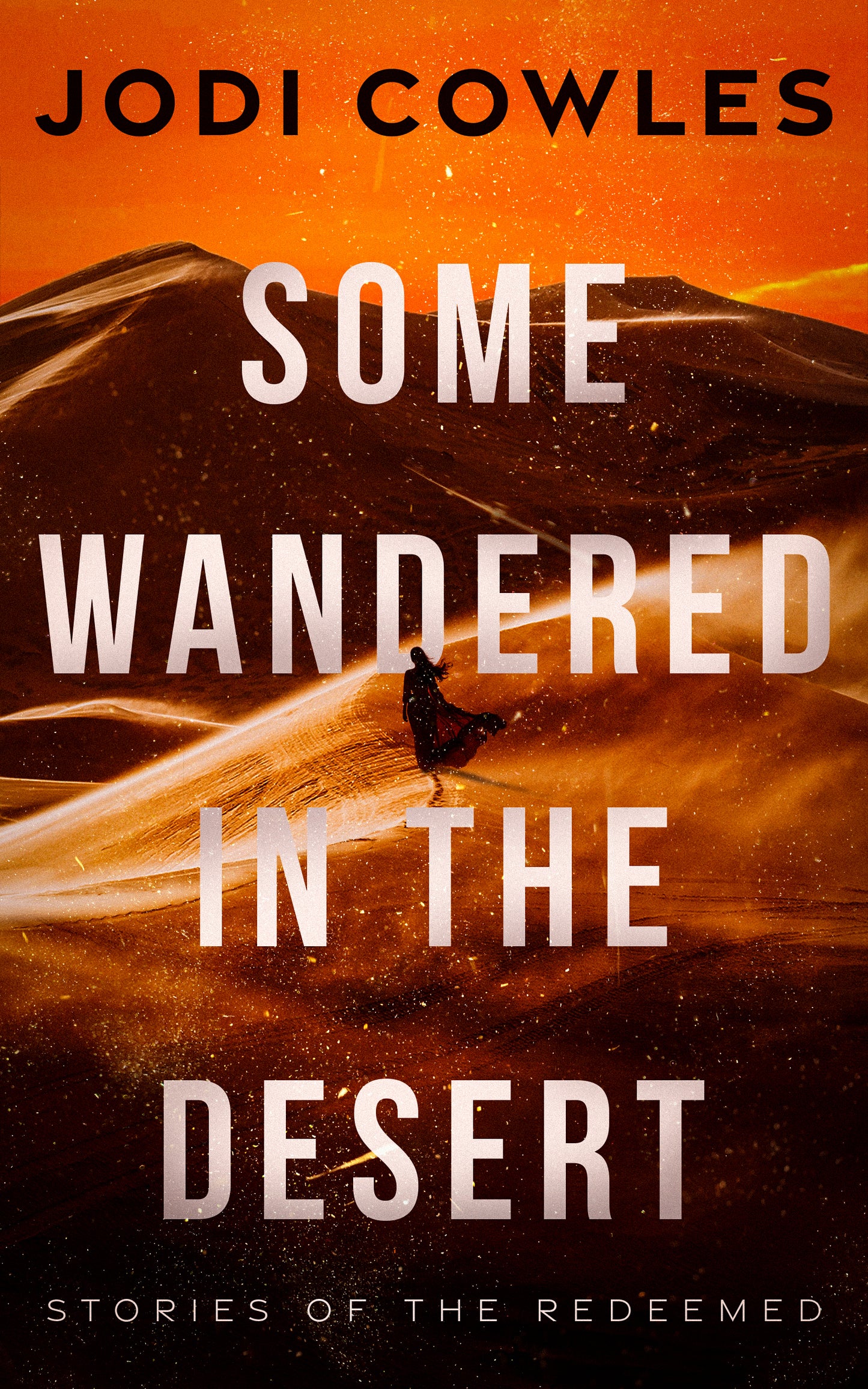 Some Wandered in the Desert Paperback